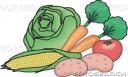 vegetable-food-group_u15180008.jpg