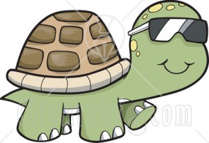 turtle